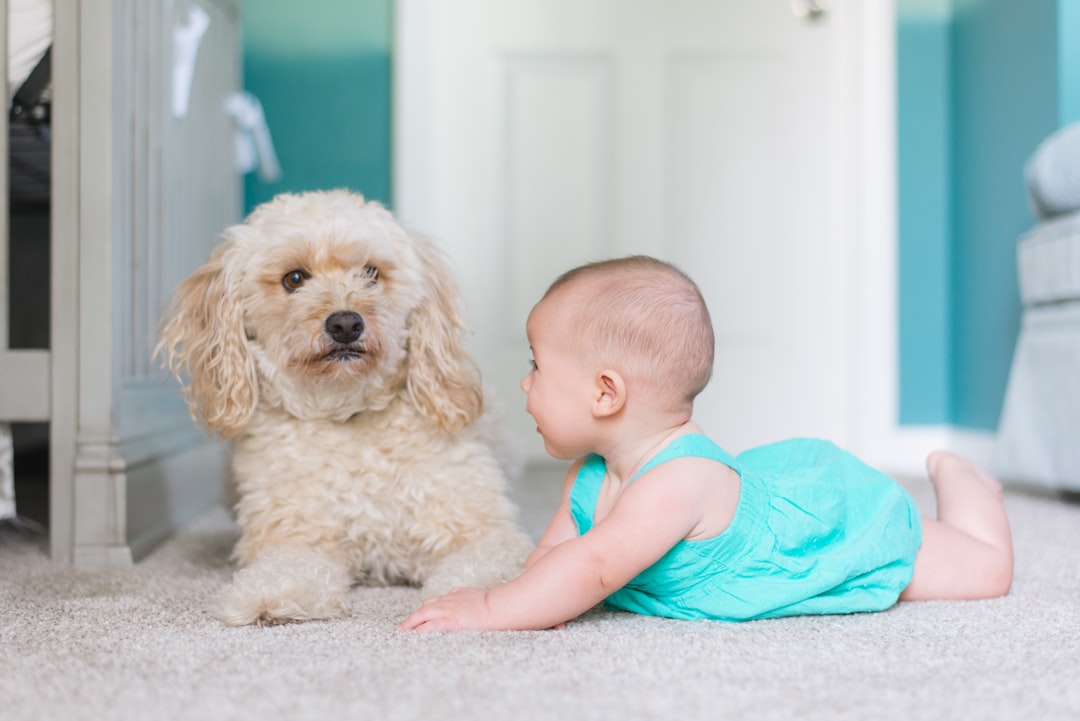 Find Out Why Hobart Businesses are Raving About Our Top-Notch Cleaning Services