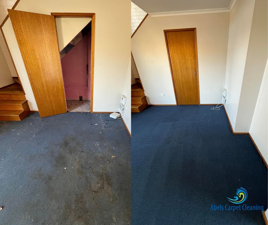 Hoarding & Trauma Clean Up